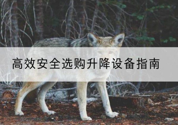 定远升降货梯厂家推荐-*安全选购升降设备指南