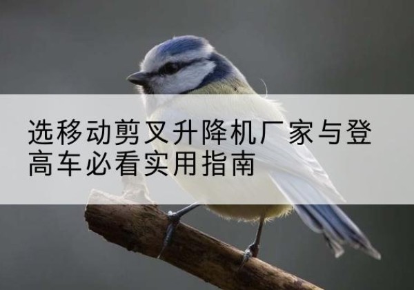 定远电动升降机厂家-选移动剪叉升降机厂家与登高车必看实用指南